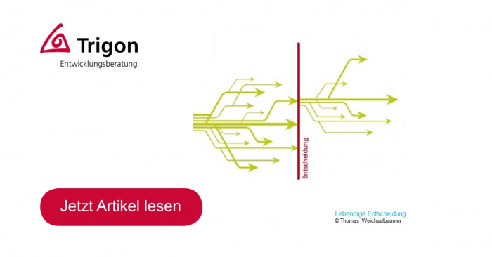 Trigon Themen 01-2022 „Entscheidungen sind Startpunkte“